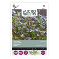 Moutarde Brassica 'Red Frills' - Semences d’herbes - Herbes Aromatiques