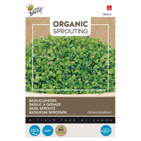 Basilic Genovese - Graines d’herbes aromatiques