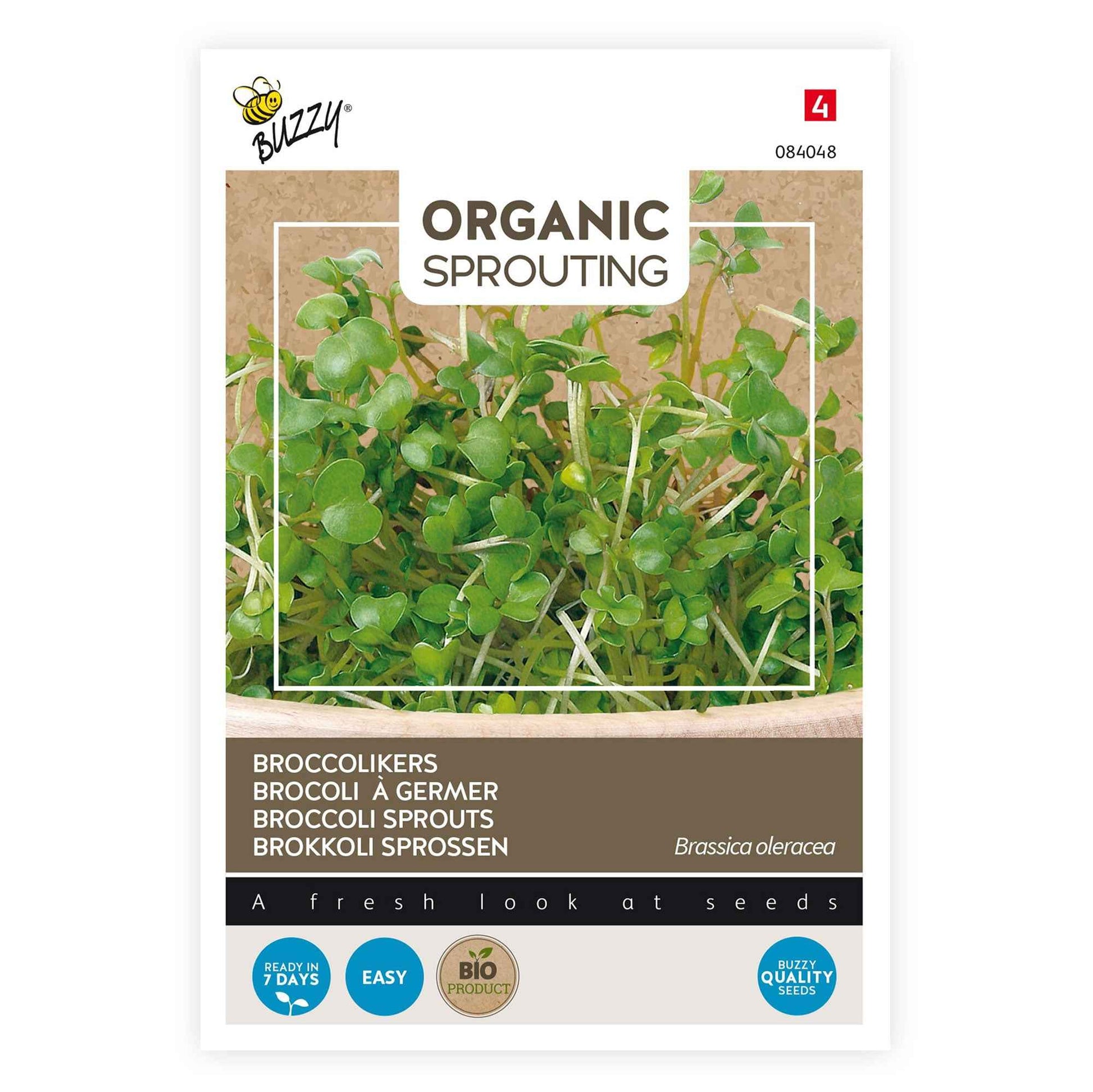 Graines de brocoli à germer Brassica oleracea - Biologique 36 m² - Semences de légumes - Graines d’herbes aromatiques