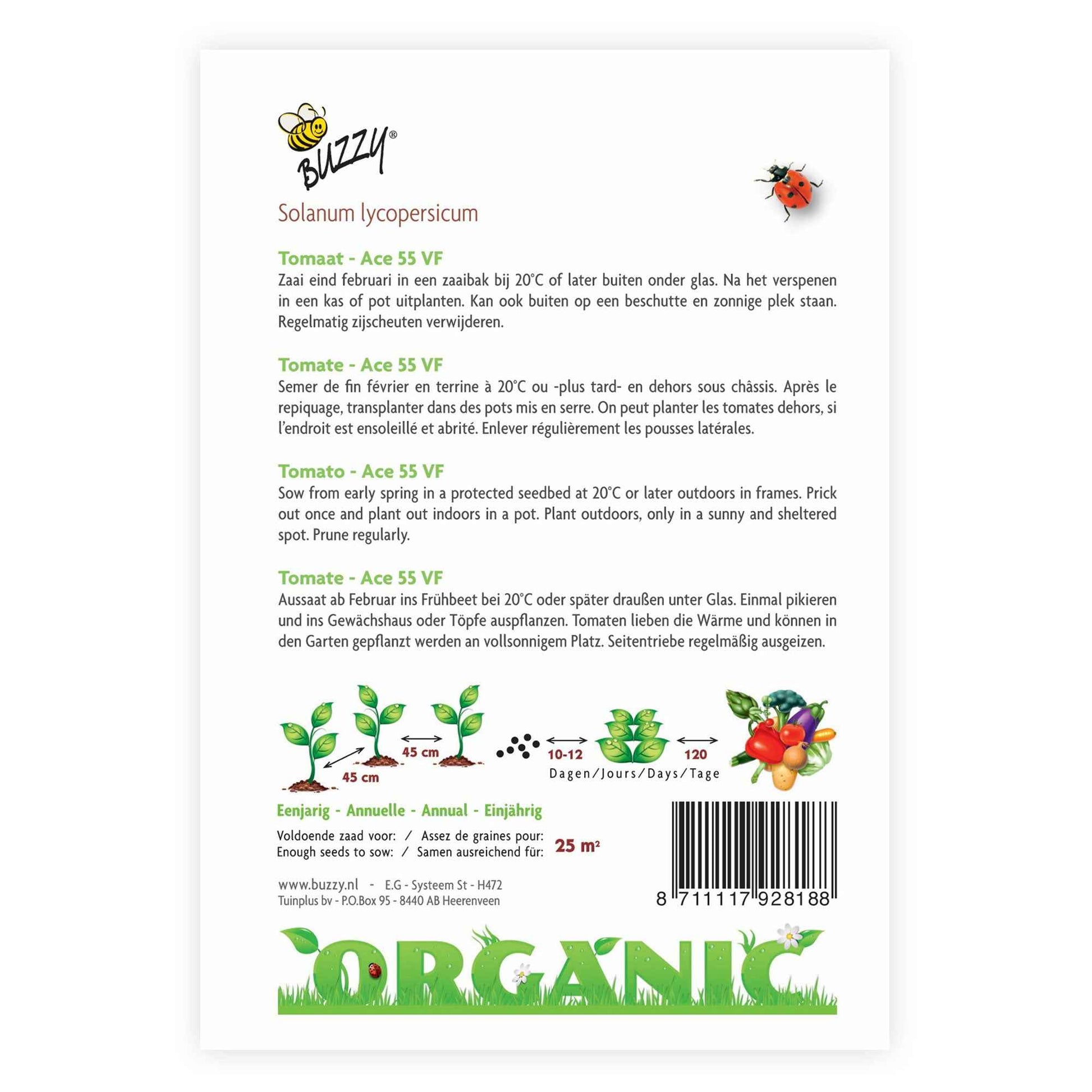 Tomate Solanum 'Ace' - Biologique 25 m² - Semences de légumes - Graines bio