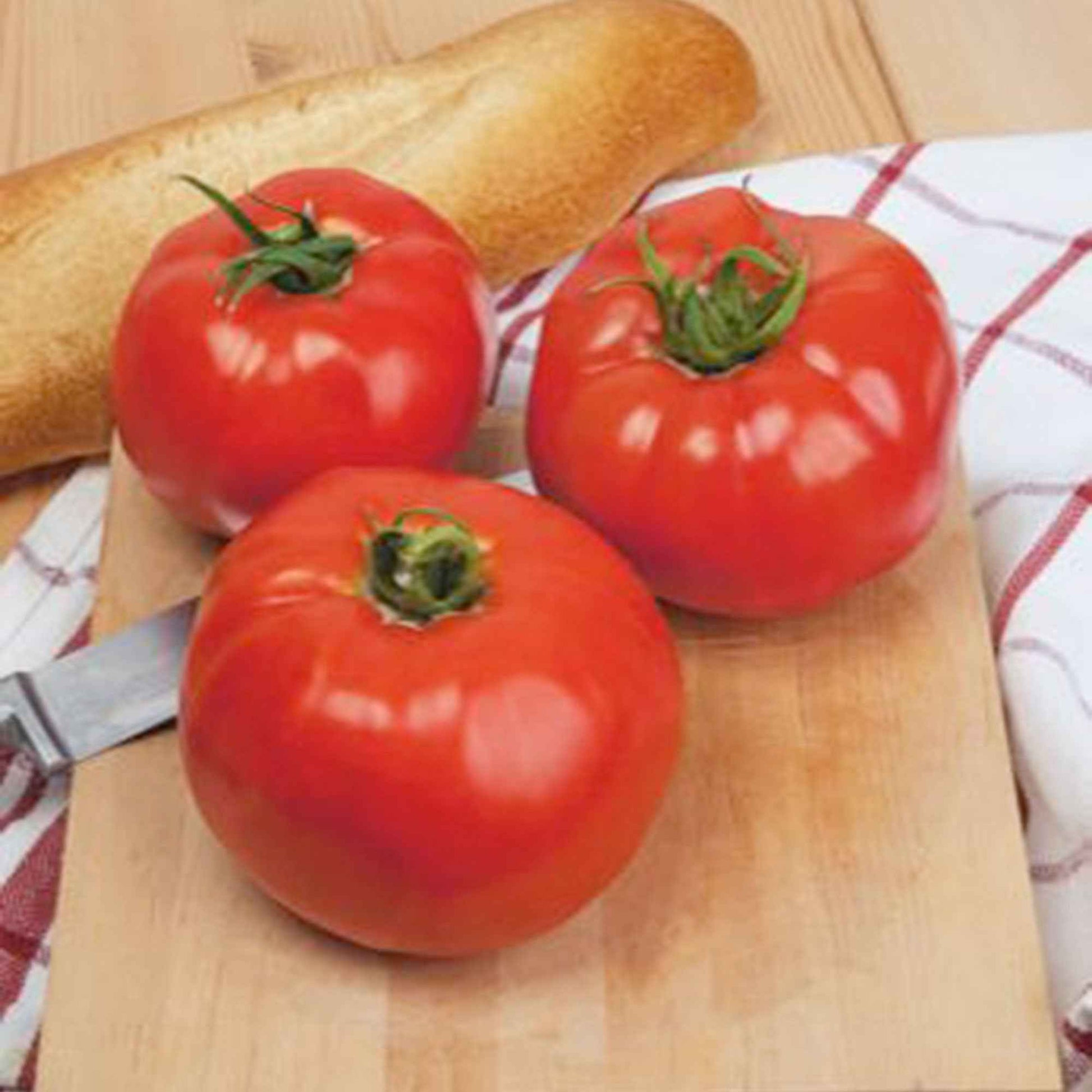 Tomate Solanum 'Ace' - Biologique 25 m² - Semences de légumes - Graines de Légumes