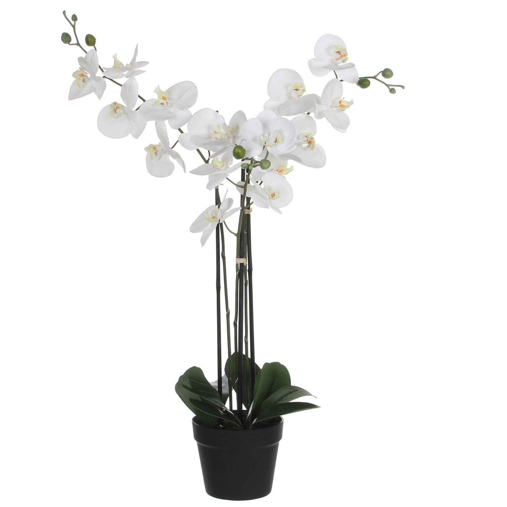 Plante artificielle Orchidée Phalaenopsis blanc Avec cache-pot rond en plastique - Plantes artificielles