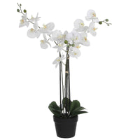 Plante artificielle Orchidée Phalaenopsis blanc Avec cache-pot rond en plastique - Plantes fleuries artificielles
