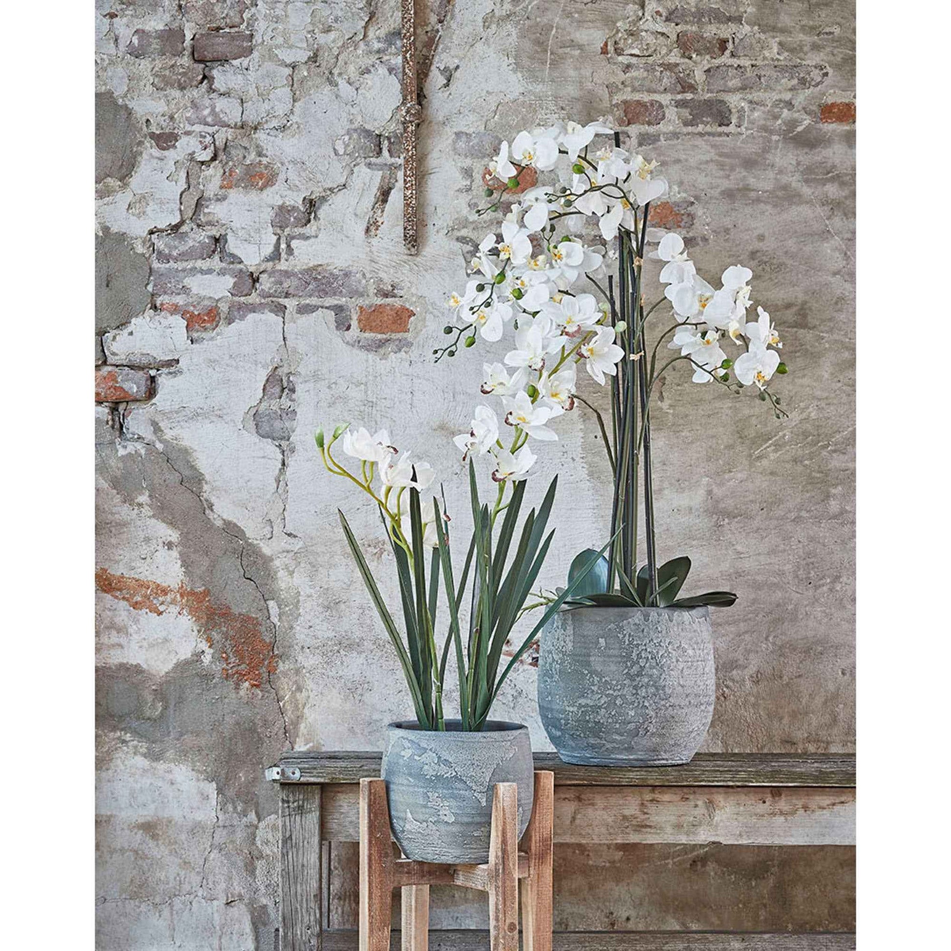Plante artificielle Orchidée Phalaenopsis blanc Avec cache-pot rond en plastique - Plantes artificielles populaires