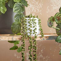 Plante artificielle Succulente Senecio 'Pearl' - Petites plantes artificielles