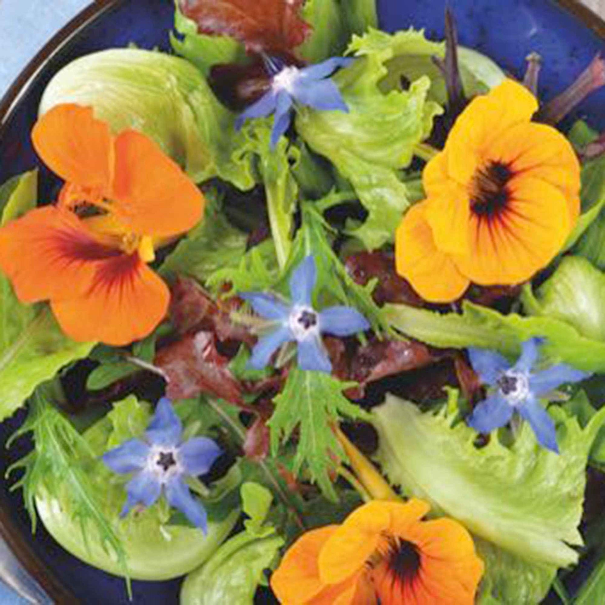 Fleurs comestibles - Mélange 2 m² - Semences de fleurs - Fleurs comestibles bio
