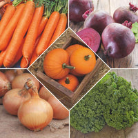Pack de légumes d'hiver 'Hiver Harmonieux' - Semences de légumes - Graines de Légumes