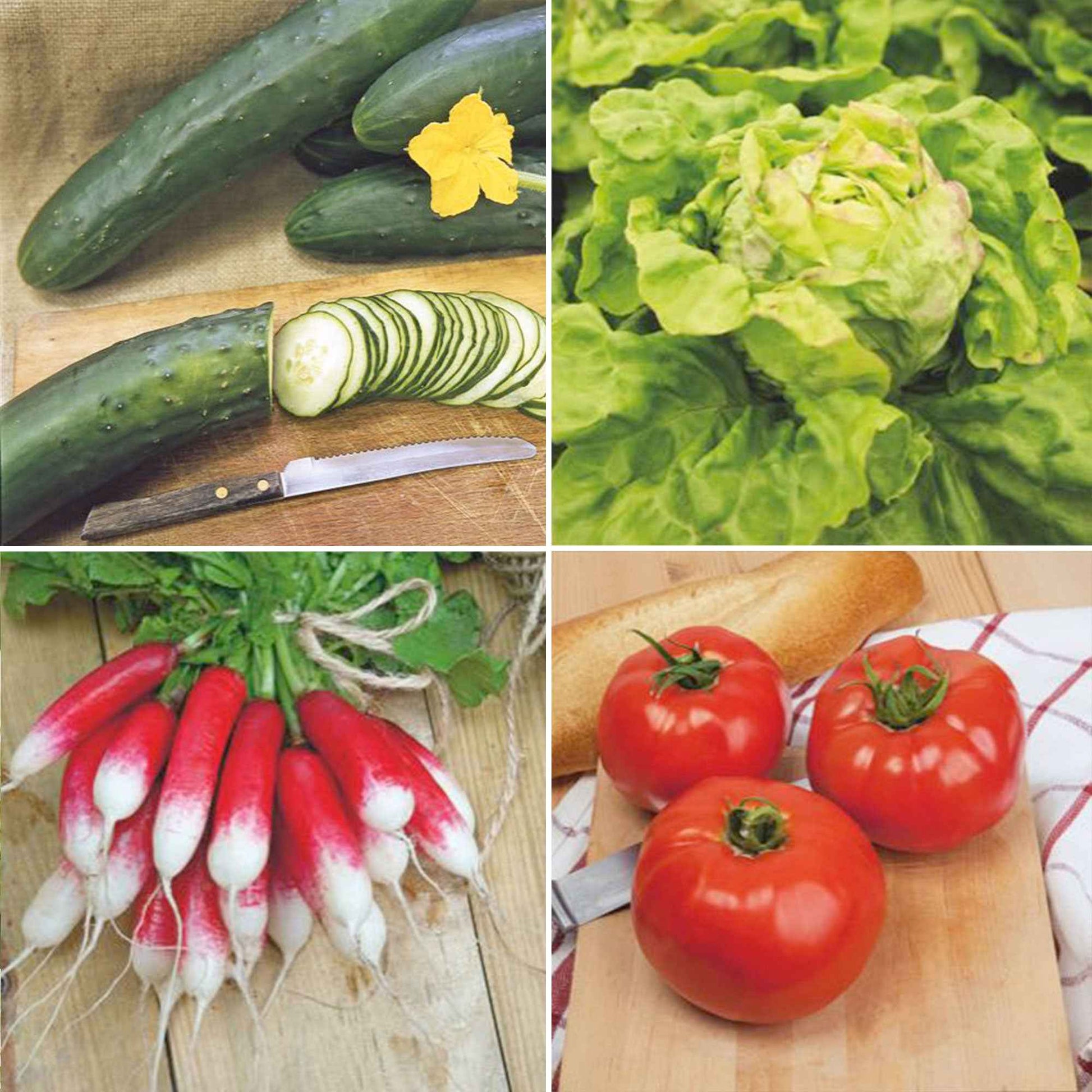 Pack de légumes de printemps 'Printemps Pétulant' - Biologique - Semences de légumes - Entretien du potager