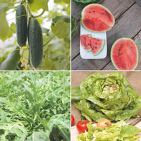 Pack d'été 'Été Étincelant' - Biologique Graines de légumes, graines aromatiques, graines de fruits - Caractéristiques des plantes