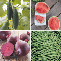 Pack de jardinage 'Potager Pratique' - Biologique Graines de légumes, graines de fruits - Caractéristiques des plantes