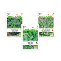Pack smoothie végétal 'Vert Vibrant' - Biologique - Semences de légumes - Entretien du potager