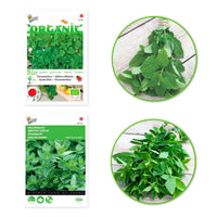 2x Pack d'herbes à tisane 'Tisane Tonique' - Semences d’herbes - Entretien du potager