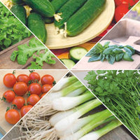 Pack pour jardin urbain 'Ville Verdoyante' Graines de légumes, graines aromatiques - Concombres et Cornichons