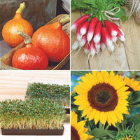 Pack de jardinage pour enfants 'Gamins Gais' - Biologique Graines de légumes, graines aromatiques, graines de fleurs - Entretien du potager