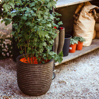 Capi pot de fleurs Nature row rond vert - Pot pour l'intérieur et l'extérieur - Grands pots d'intérieur