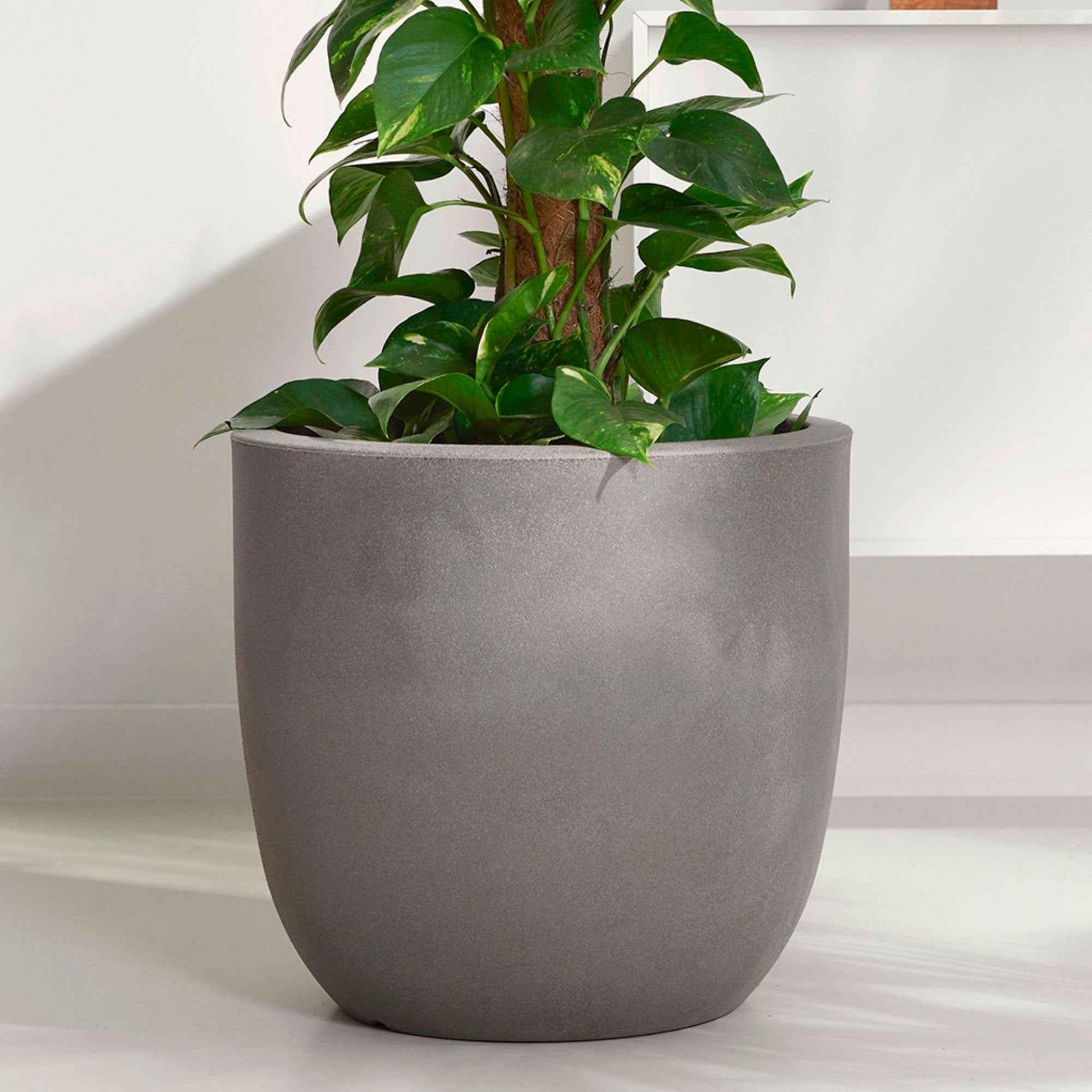 Capi Urban smooth pot de fleurs rond anthracite - Pot pour l'intérieur et l'extérieur - Capi