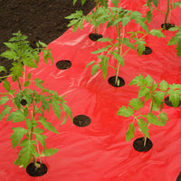 Nature Film de paillage pour tomates - Aménagement du potager