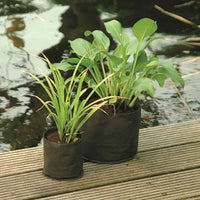 Sachet de plantes aquatiques - Carré - Paniers pour plantes de bassin
