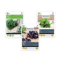 Paquet d'herbes aromatiques 'Plantes succulentes' 22,5 m² - Semences d’herbes - Entretien du potager
