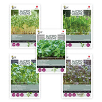 Paquet de légumes germés 'Pousses douces' 6 m² - Graines de légumes, graines d'herbes aromatiques - Entretien du potager