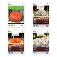 Paquet de courges 'Potirons champions' 21 m² - Semences de légumes - Graines de courge
