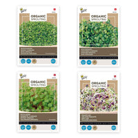 Paquet d'herbes aromatiques 'Semences tendance' - Biologique - Semences d’herbes - Entretien du potager