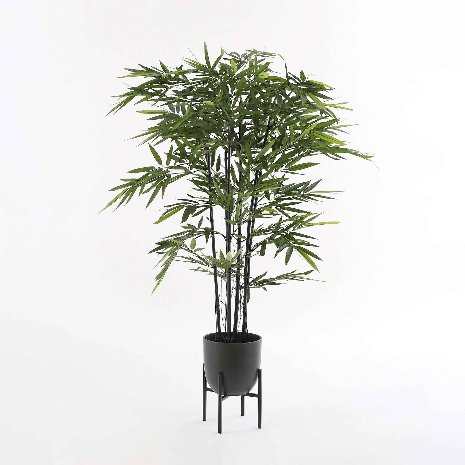 Mica pot de fleurs Tusca rond noir avec table à plantes - Pot pour l'intérieur - Grands pots de fleurs