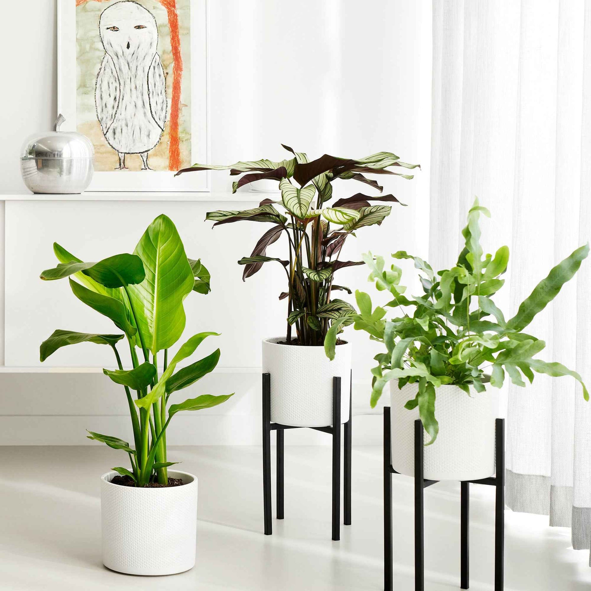 Mica pot de fleurs Era rond blanc avec table à plantes - Pot pour l'intérieur - Accessoires pour pots de fleurs