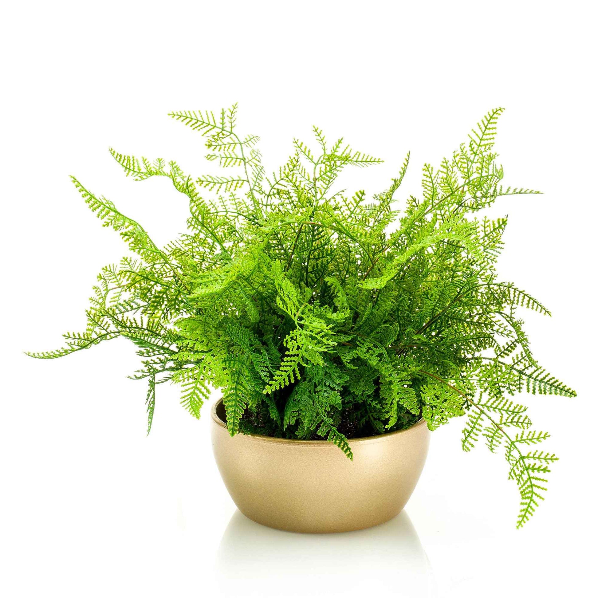 Plante artificielle Aloë Vera fern vert avec cache-pot doré - Plantes artificielles