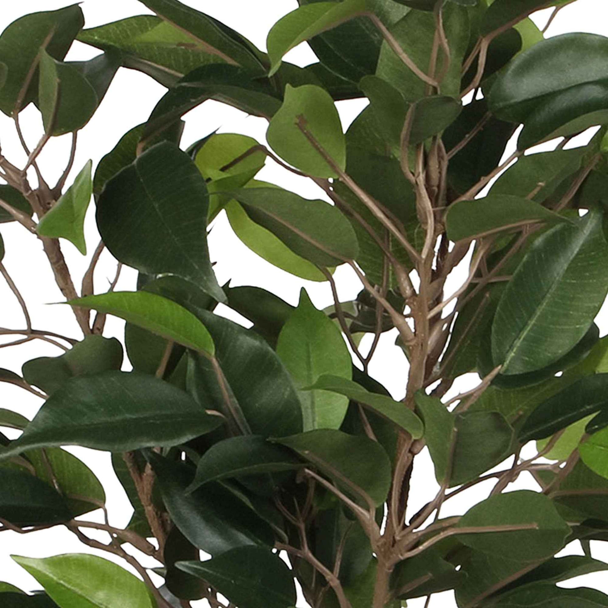 Ficus artificiel 'Natasja' avec cache-pot blanc - Plantes artificielles avec cache-pot