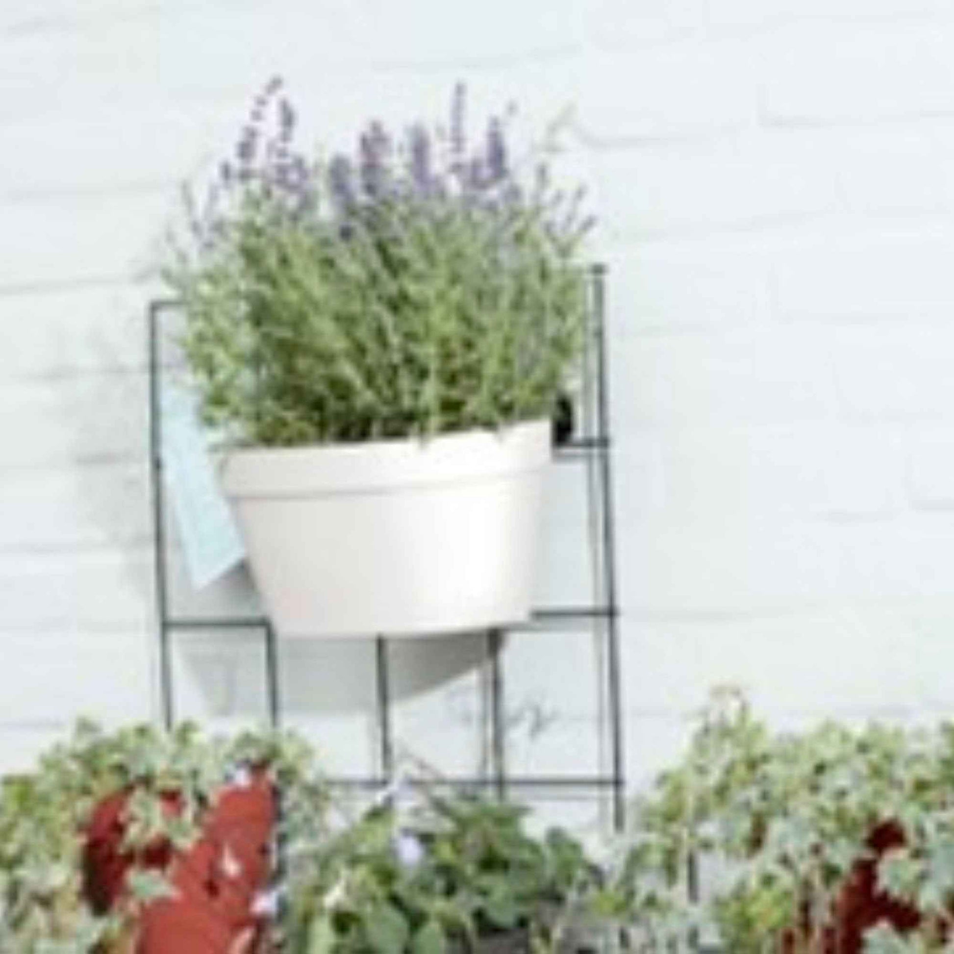 Elho Pot inclus. 'Loft urban Green wall ' ovale blanc avec Support Elho - Pot pour l'extérieur - Aménagement du potager