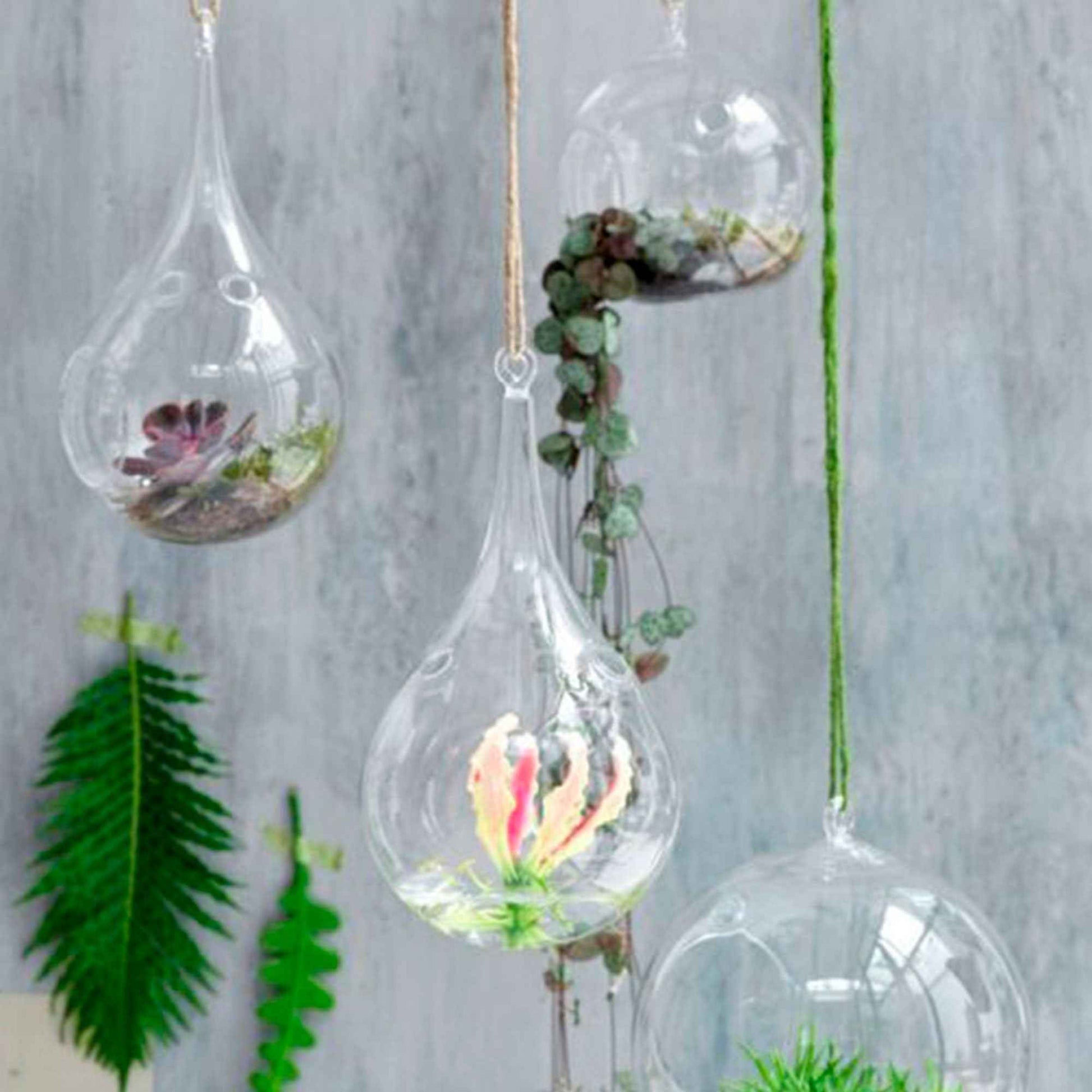 2x Mica Pot suspendu en verre Sil Bulbe - Pot pour l'intérieur - Mica Decorations