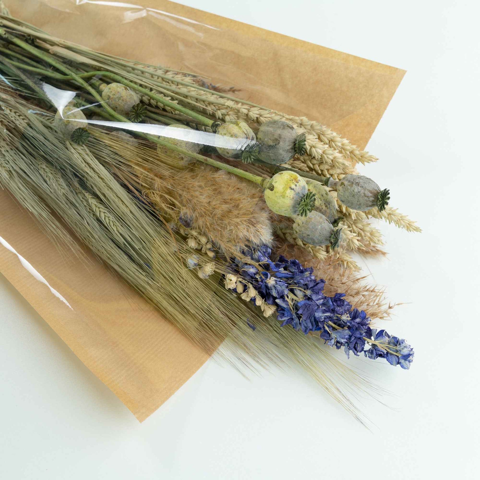 Bouquet de fleurs séchées Pavot - Idées cadeaux