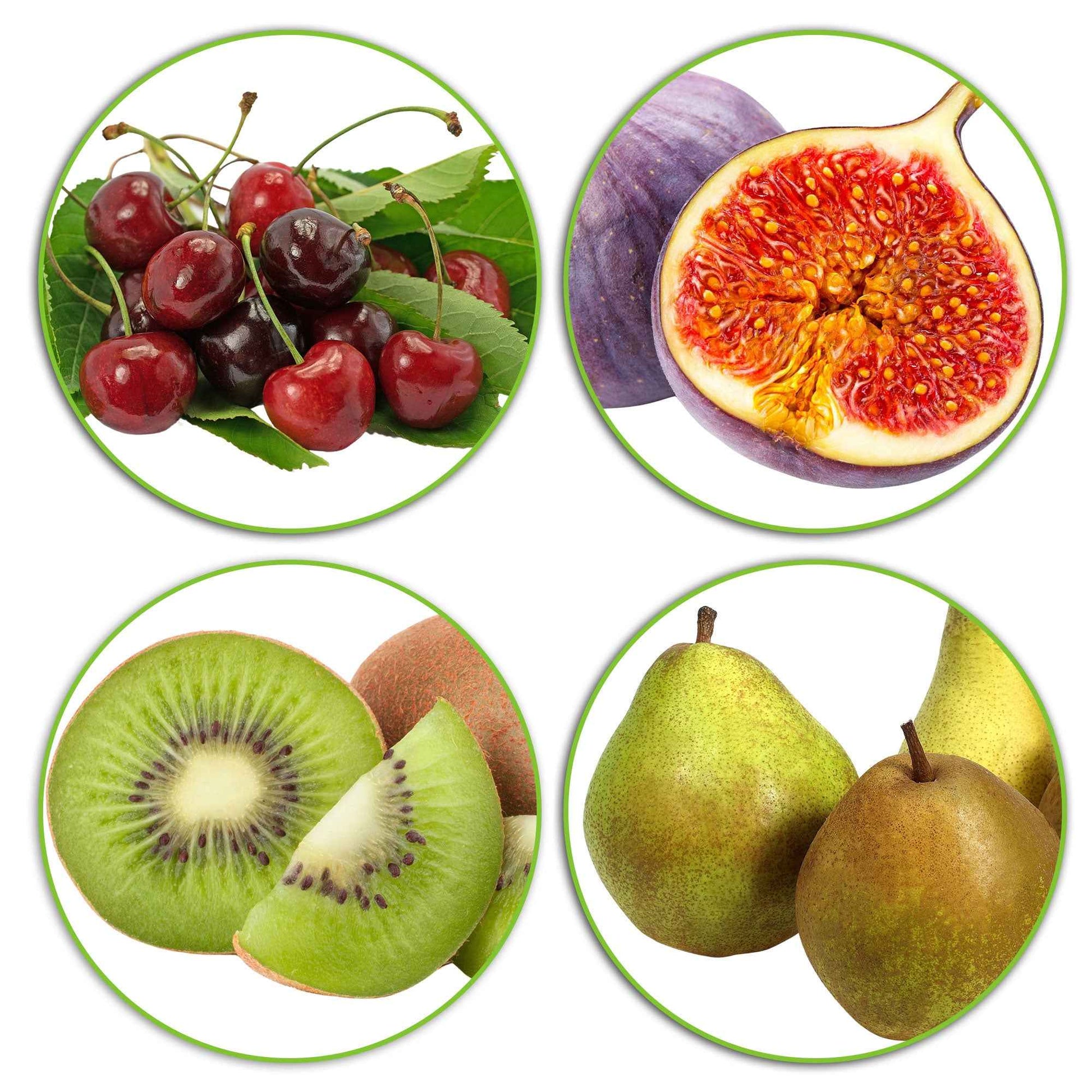 4x Arbres fruitiers - Melange 'Savoureux nectar' - Arbres et haies