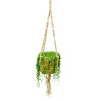 Collier de perles Senecio rowleyanus avec panier en crin végétal et suspension macramé - Ensembles de plantes d'intérieur