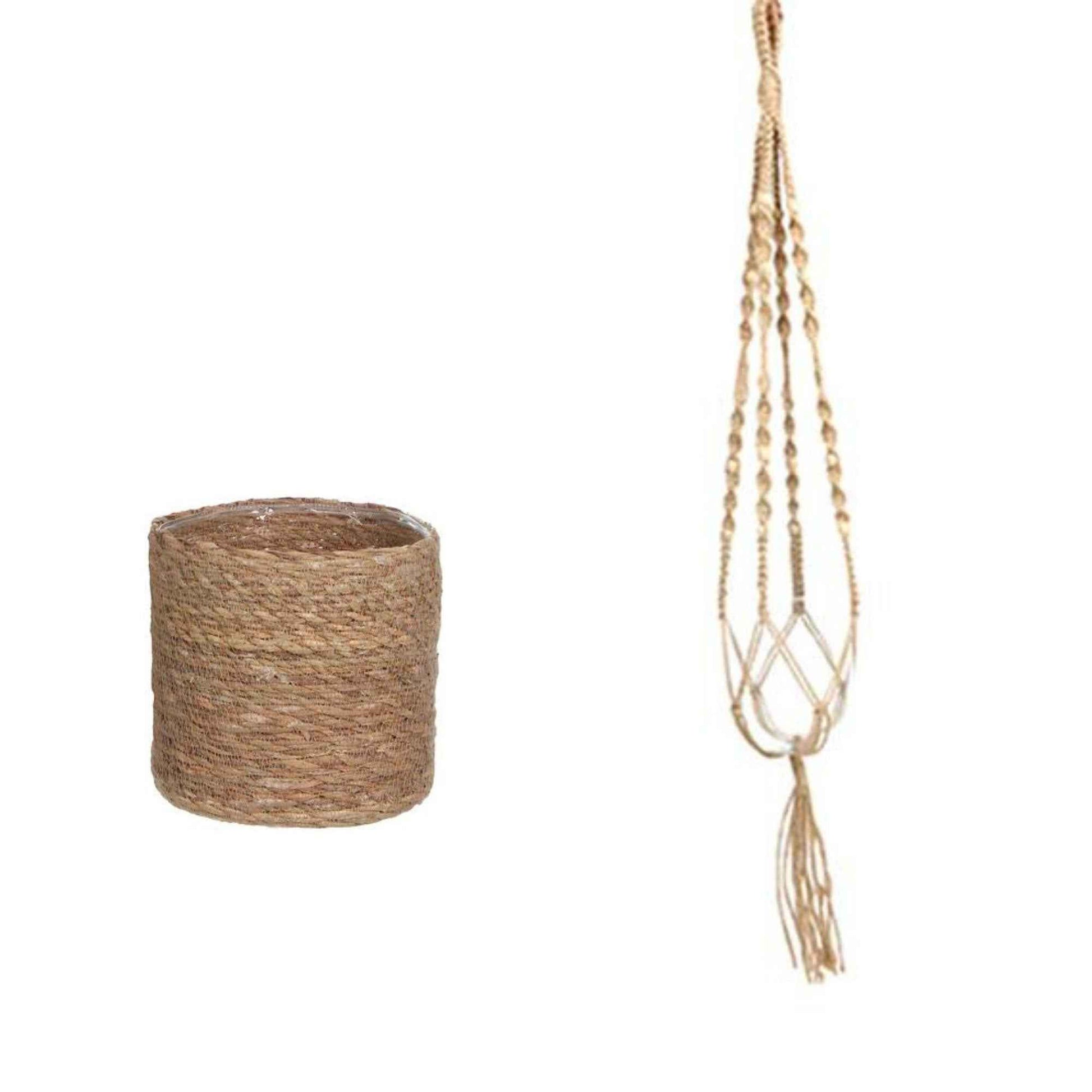 Collier de perles Senecio rowleyanus avec panier en crin végétal et suspension macramé - Idées cadeaux