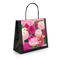 2x Dahlia  'Lovers Ball' Violet-Rose - Bulbes de fleurs populaires