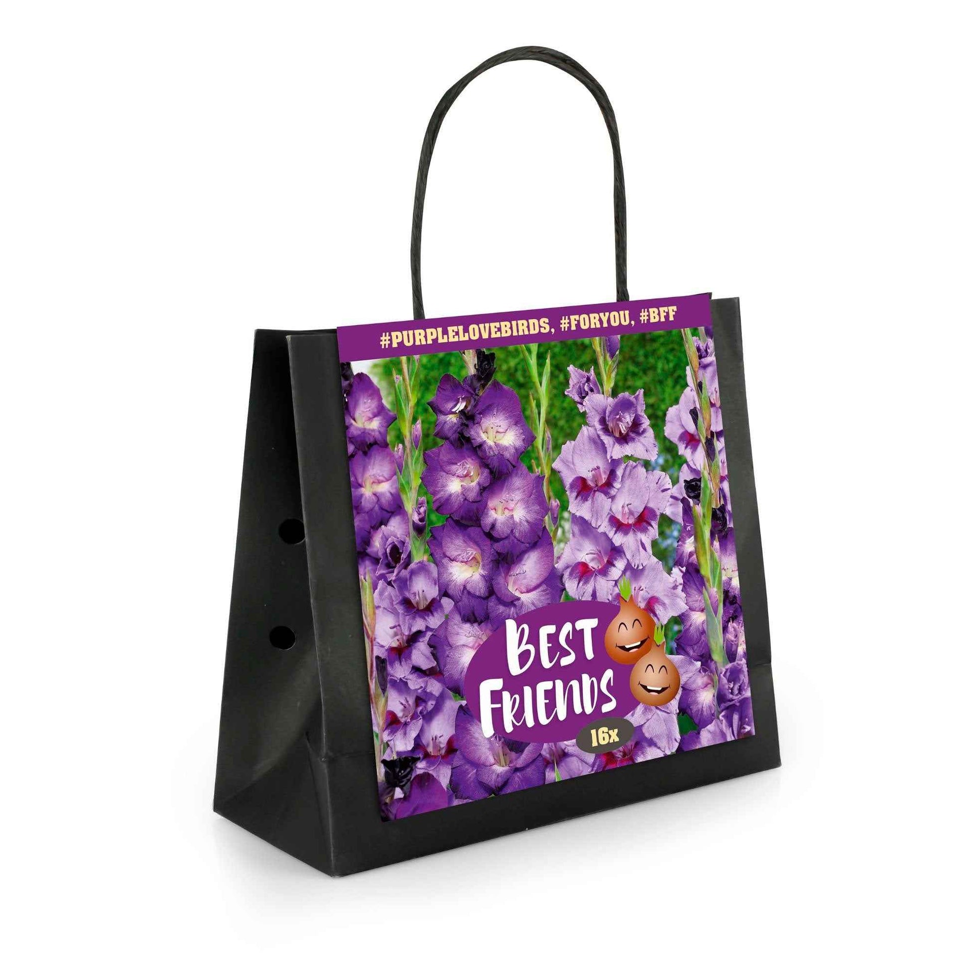 16x Glaïeul Gladiolus  'Purple Love Birds'  Violet - Bulbes d'été