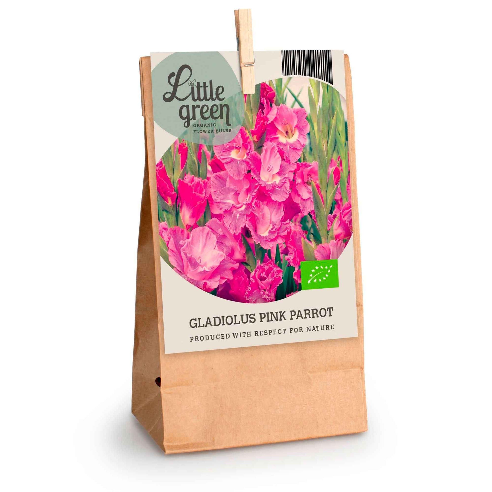 7x Glaïeul Gladiolus 'Pink Parrot' rose - Bio - Bulbes d'été