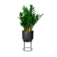 Elho B. for Studio Round- Pot pour l'intérieur avec table à plantes Noir - Nouveaux pots de fleurs
