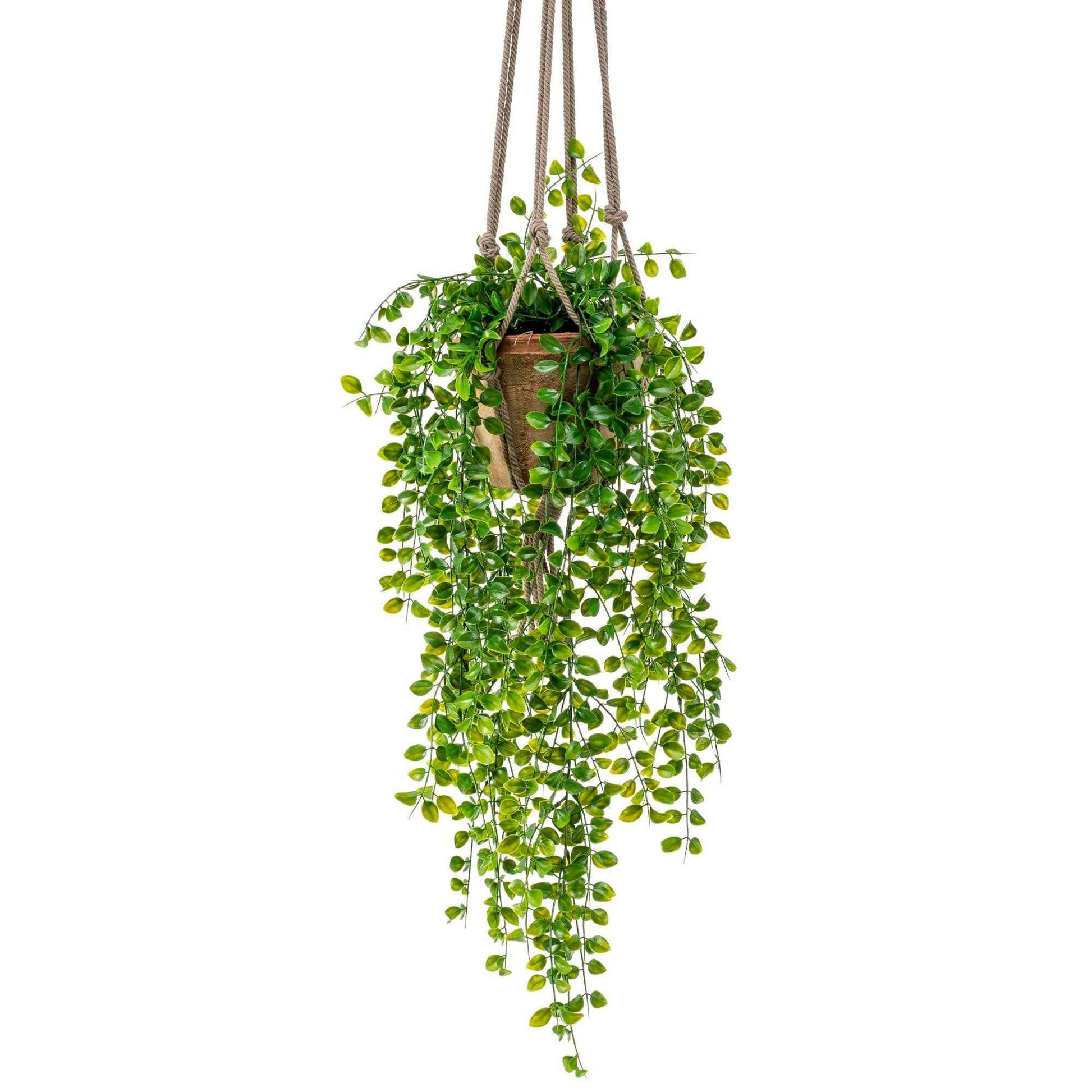 Ficus pumila artificiel avec pot décoratif - Plantes artificielles populaires