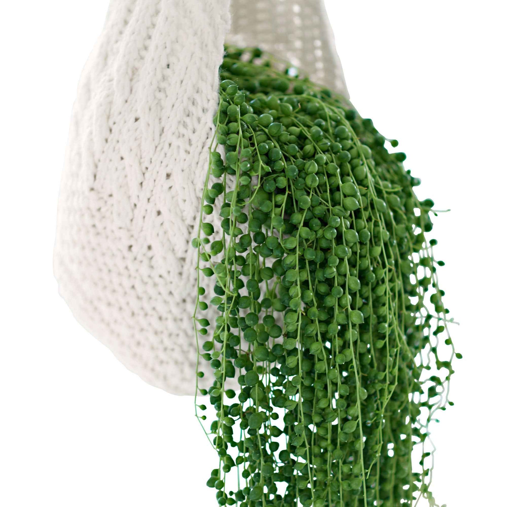 Collier de perles Senecio rowleyanus avec panier en crin végétal et suspension macramé - Facile d’entretien