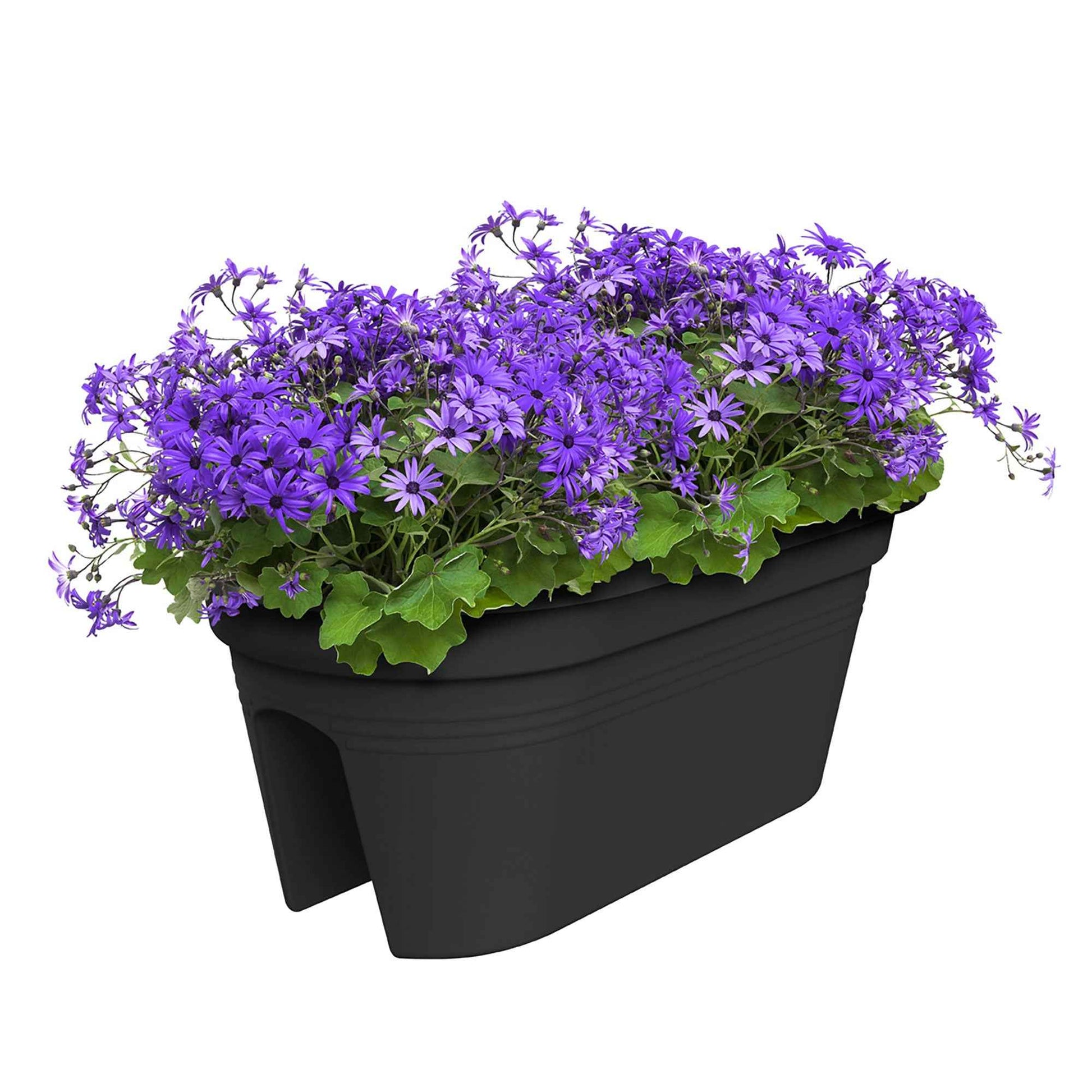 Elho jardinière Green basics flower bridge ovale noir - Pot pour l'extérieur - Jardinières et bacs à fleurs