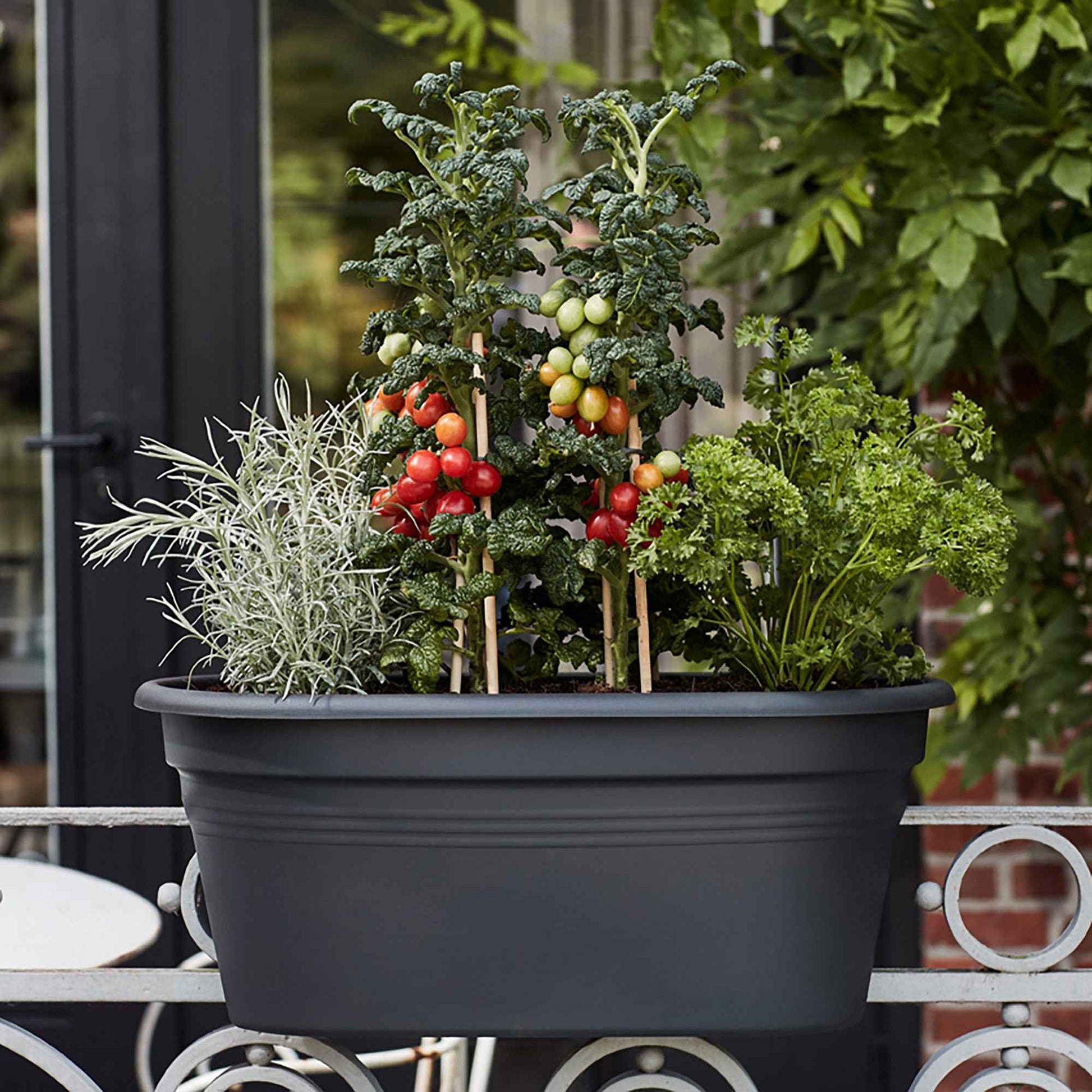 Elho jardinière Green basics flower bridge ovale noir - Pot pour l'extérieur - Grands pots de fleurs