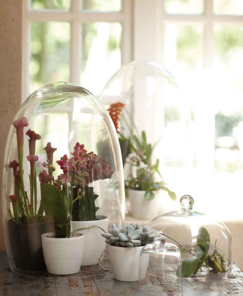 Elho pot de fleurs Brussels rond crème - Pot pour l'intérieur - Petits pots d'intérieur