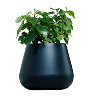 Elho pot de fleurs Pure cone rond noir - Pot pour l'intérieur et l'extérieur - Marques