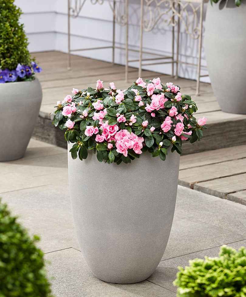 Capi vase Urban smooth rond gris - Pot pour l'intérieur et l'extérieur - Grands pots d'extérieur