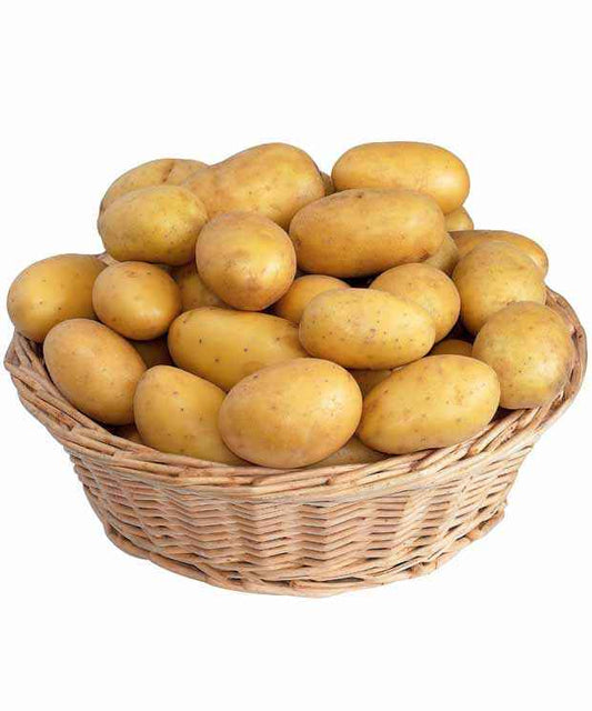 Collection de 80 pommes de terre : Amandine, Jeannette, Blanche - Solanum tuberosum 'amandine', 'jeannette', 'blanche' - Potager